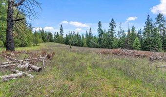 Nna Mesa Drive, Careywood, ID 83809