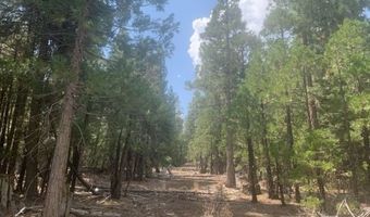 Fargo Rd, Alturas, CA 96101