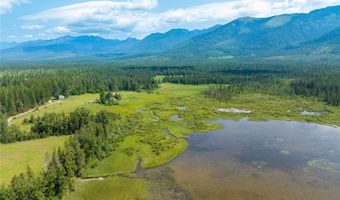 895 Mud Lake Rd, Bigfork, MT 59911