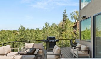 257 MOUNTAIN LAUREL Dr, Aspen, CO 81611