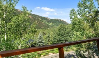 250 Mountain Laurel Dr B, Aspen, CO 81611