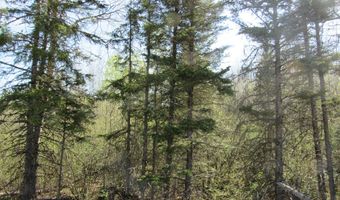 TBD US 141 Road Lukes Road, Amasa, MI 49903