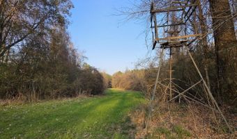 U.S. Highway 51, Bogue Chitto, MS 39629