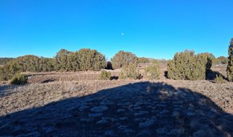 286 County Rd, Concho, AZ 85924