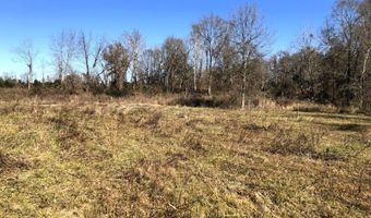 1071 LR 3, Ashdown, AR 71822