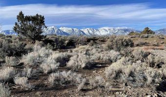 1290 Jo Ln, Gardnerville, NV 89410