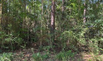 0 E Bolivar St, Bay St. Louis, MS 39520