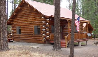 30 County Road 2066, Alpine, AZ 85920