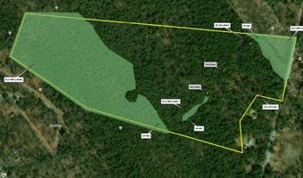 Curtis Hall Rd, Blandford, MA 01008