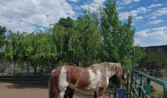 6252 King Hill Canal Rd, Bliss, ID 83314