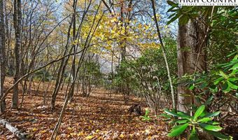 000 Pigeon Roost Rd, Banner Elk, NC 28604
