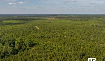 Flowers Road, Bay Minette, AL 36507