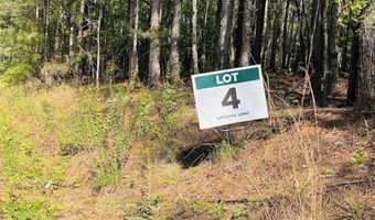 Creek Road lot 4, Ashland, AL 36251