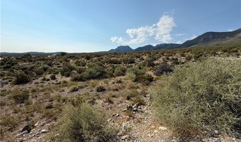 RUDIN Drive, Cold Creek, NV 89124