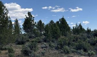 TL 300 HWY 140, Beatty, OR 97621