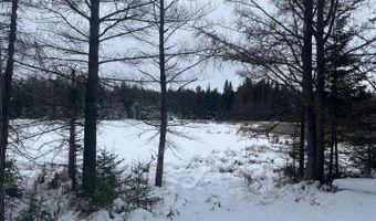 9606 MUNGER Rd, Afton, MI 49705