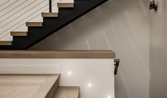 704 E Hyman Ave, Aspen, CO 81611