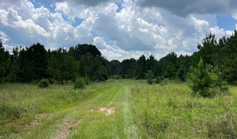 TBD County Road 40, Abbeville, AL 36310
