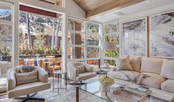 708 E Hyman Ave, Aspen, CO 81611