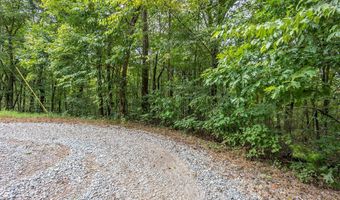 3 Ac Chestnut Flats Rd, Andrews, NC 28901