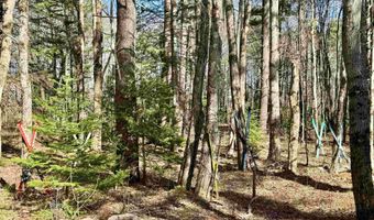 2659 NH Route 16, Albany, NH 03818