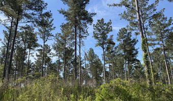 0 S County Road 33, Ashford, AL 36312