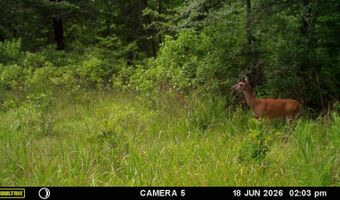 East Highway 3, Atoka, OK 74525