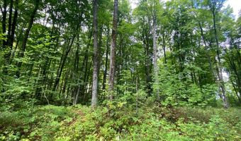 NEAR SCHMIDT LN, Argonne, WI 54511