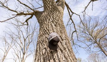 9795 Co Rd W 76-506, Ava, MO 65608