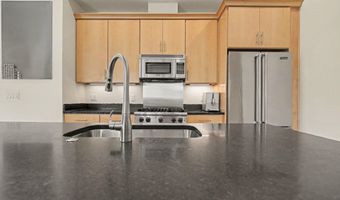 410 N 1st St 203, Ann Arbor, MI 48103