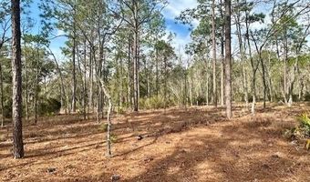 NW County Road 236, Bell, FL 32619
