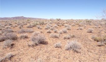308-22 395 N Palo Verde Dr, Chloride, AZ 86431