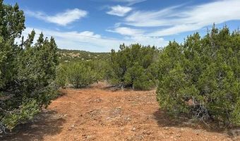 50 County Road 3048, Concho, AZ 85924