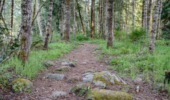 22260 E WILD FERN Ln, Brightwood, OR 97011