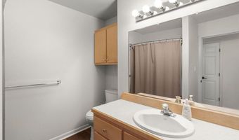 1175 Pine Tree Dr, Bayfield, CO 81122