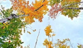 91 Greenleaf Brook Rd, Amity, ME 04730