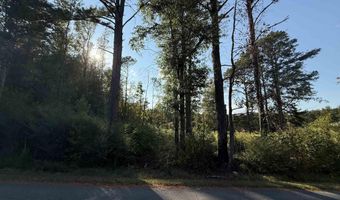 1 46 Acres 2nd Ave, Altoona, AL 35952