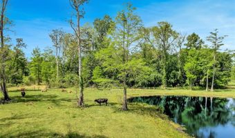 Tbd CORKWOOD LANE, Astatula, FL 34705
