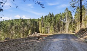 NW Green Mountain Rd 1, Banks, OR 97106