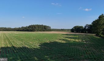 PARCEL B RUSSELL Road, Bridgeville, DE 19933