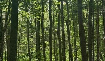 Piney Mountain Rd, Appomattox, VA 24522