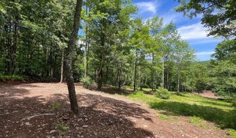 Woodland Hills Road, Andes, NY 13731