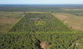 25001 Highway 112, Bay Minette, AL 36507