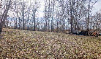 509 Old Cane Bluff Rd, Alton, MO 65606