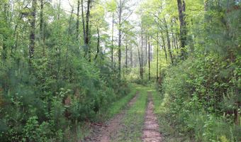 Ruffner Road 00, Barnesville, GA 30204