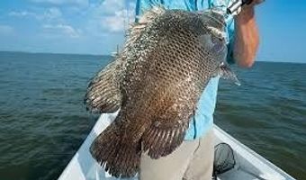 340 Bay City Rd, Apalachicola, FL 32320