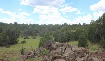 29 Co Rd 3199, Vernon, AZ 85940