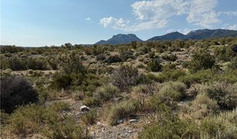 RUDIN Drive, Cold Creek, NV 89124
