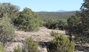 6 County Road 8052, Concho, AZ 85924