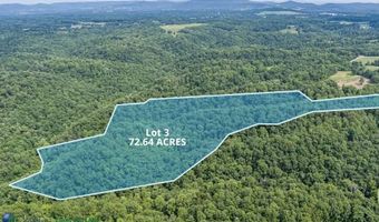Tract # 3 Willis Creek Rd, Albany, KY 42602